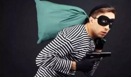 小偷们在线观看,小偷们的线上狂欢